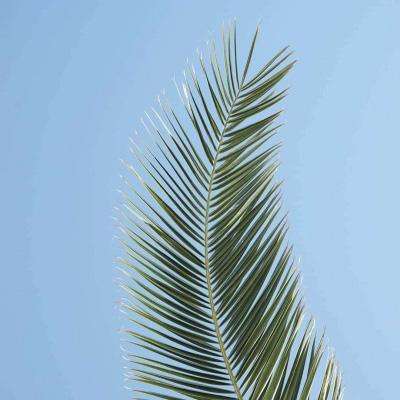 金年会app下载官网官方入口