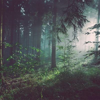 8188www威尼斯下载手机版